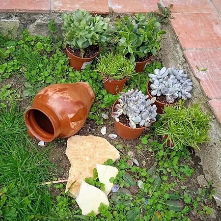 Casa Florentino Casa Centenaria Semesterbostad